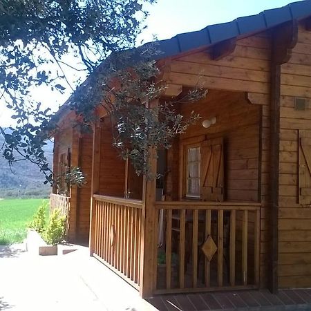 La Casa Del Estanque Villa Olocau del Rey Dış mekan fotoğraf