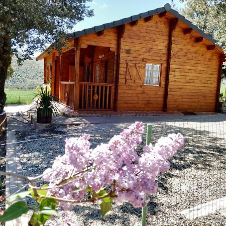 La Casa Del Estanque Villa Olocau del Rey Dış mekan fotoğraf