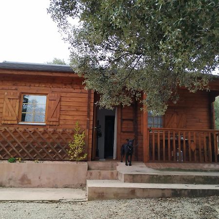 La Casa Del Estanque Villa Olocau del Rey Dış mekan fotoğraf