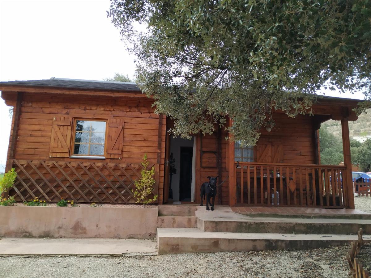 La Casa Del Estanque Villa Olocau del Rey Dış mekan fotoğraf
