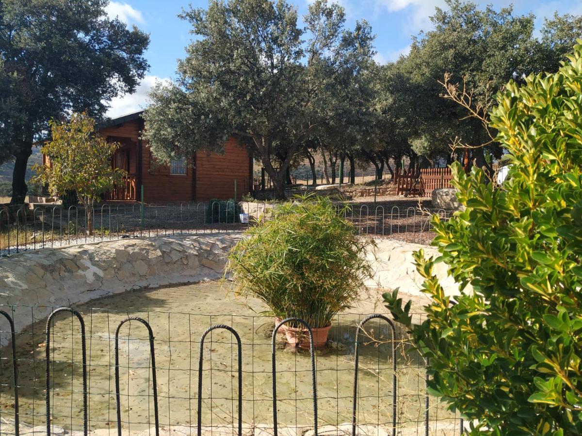 La Casa Del Estanque Villa Olocau del Rey Dış mekan fotoğraf