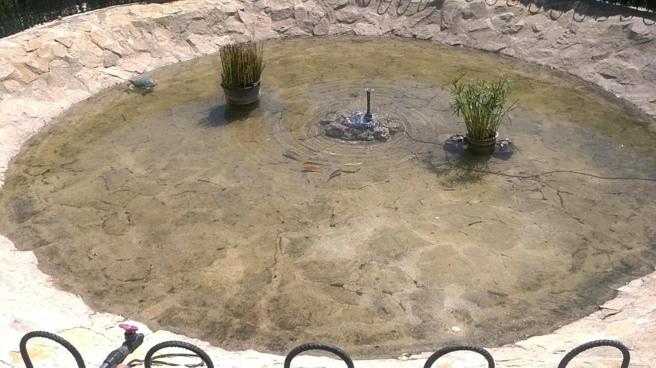 La Casa Del Estanque Villa Olocau del Rey Dış mekan fotoğraf